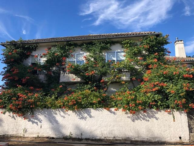 Villa Buganvilia Privatunterkunft *